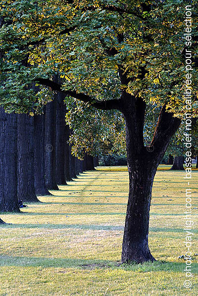 Lige - Parc de la Boverie